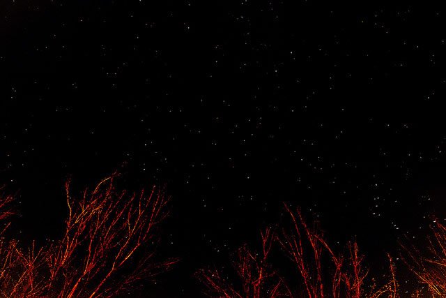 starry-night-red-trees